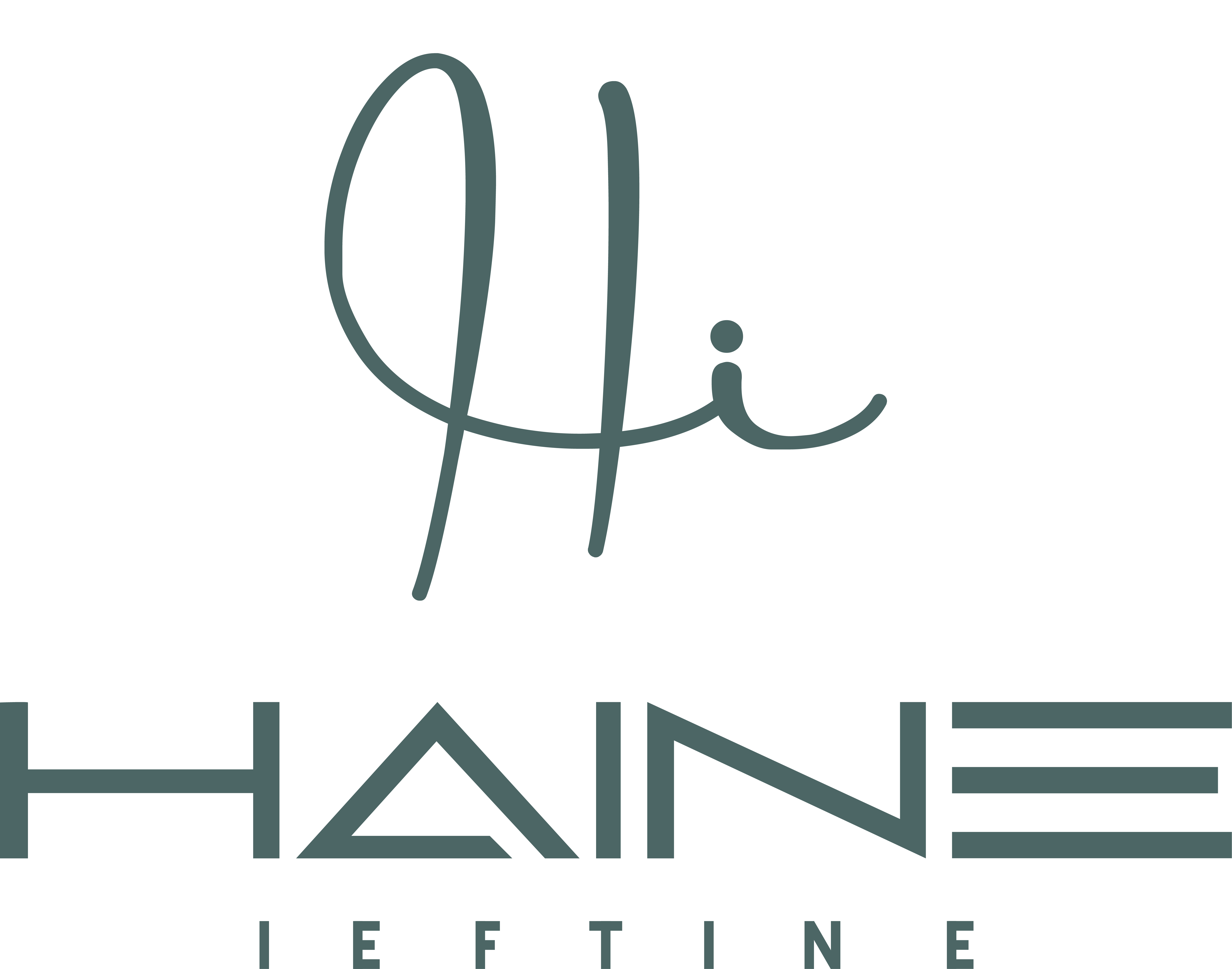 Haine Ieftine